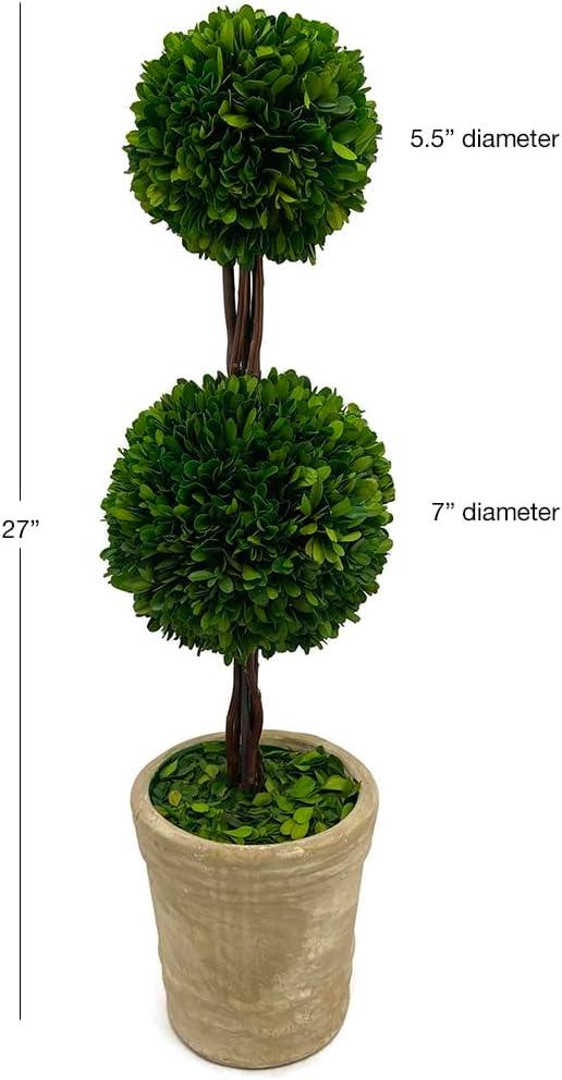 Modern Home 27" Real Preserved Boxwood Topiary Plant – Double Ball Faux Greenery in Rustic Pot – Indoor Outdoor Decorative Potted Plant for Home, Office, Porch, Patio, or Event Décor