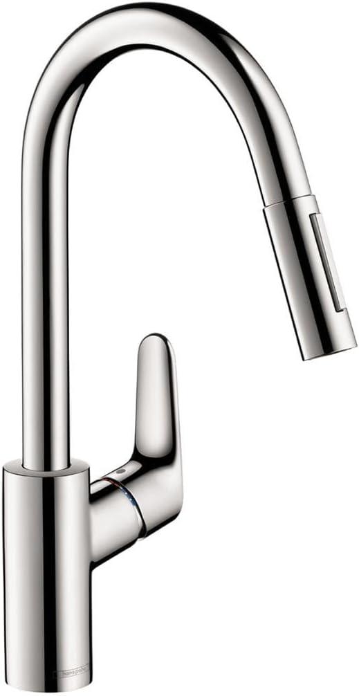 Focus Single Handle Kitchen Faucet