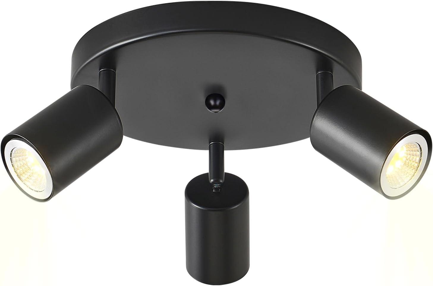 Matte Black 3-Light Adjustable Ceiling Spotlight