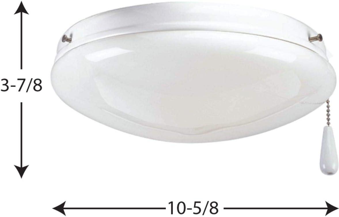 AirPro Collection Two-Light Ceiling Fan Light