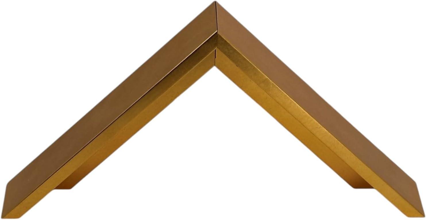 Gold Floater frame for 1.5" deep canvas, (multiple sizes) (11x14")