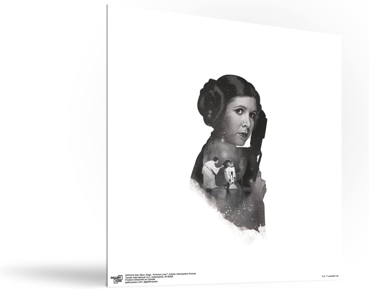 Gallery Pops Star Wars: Saga - Princess Leia Artistic Atmosphere Portrait Wall Art, Unframed Version, 12" x 12"