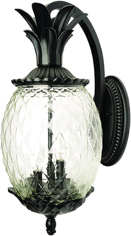 Lanai Matte Black Dimmable Outdoor Lantern Wall Sconce