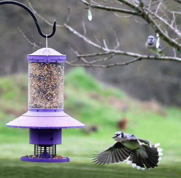 Wingscapes Autofeeder Squirrel-Resistant Bird Feeder with X-Large Capacity and Timer Control Settings, Wisteria Purple