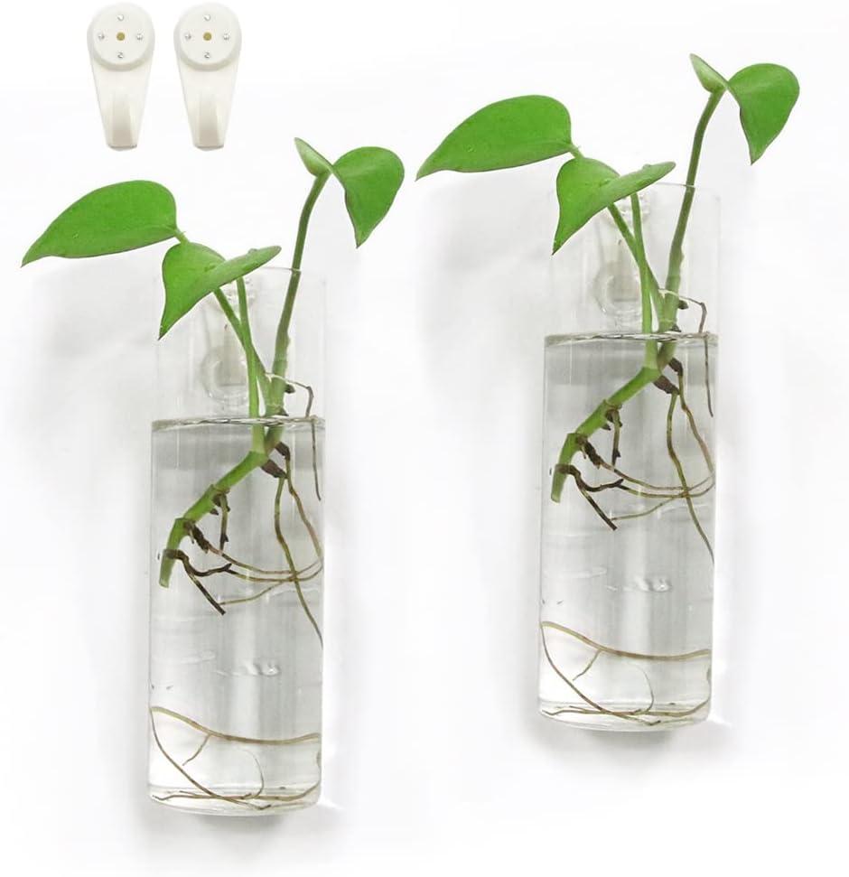 Clear Borosilicate Glass Wall Hanging Plant Terrarium Set