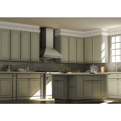 ZLINE ZLINE 48 in. Professional Ducted Wall Mount Range Hood in Stainless Steel (667-48)