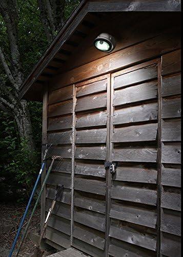 Fulcrum Bronze Motion-Sensing LED Porch Light with Clear Lens