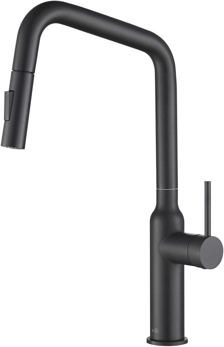 Macon Pull Down Single Handle Kitchen Faucet with Accessories