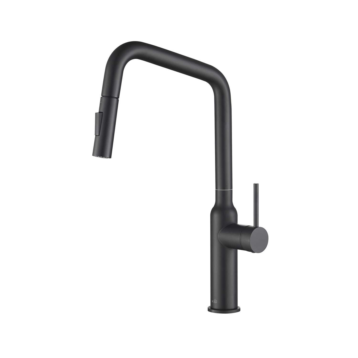 Macon Pull Down Single Handle Kitchen Faucet with Accessories
