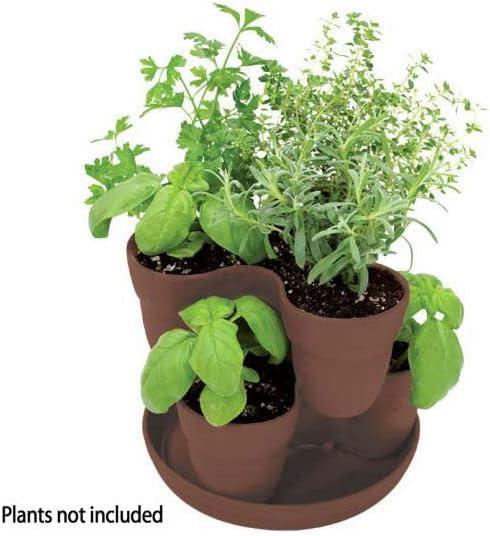 Bloomers Wall Flowers Vertical Gardening System – Create Gardens on Walls – Holds up to 4 Potted Plants – Black