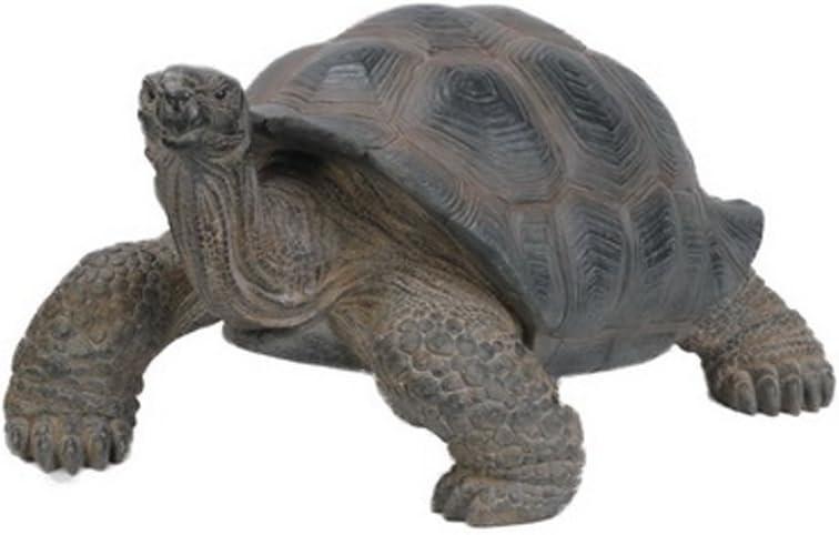 Tortoise Statue