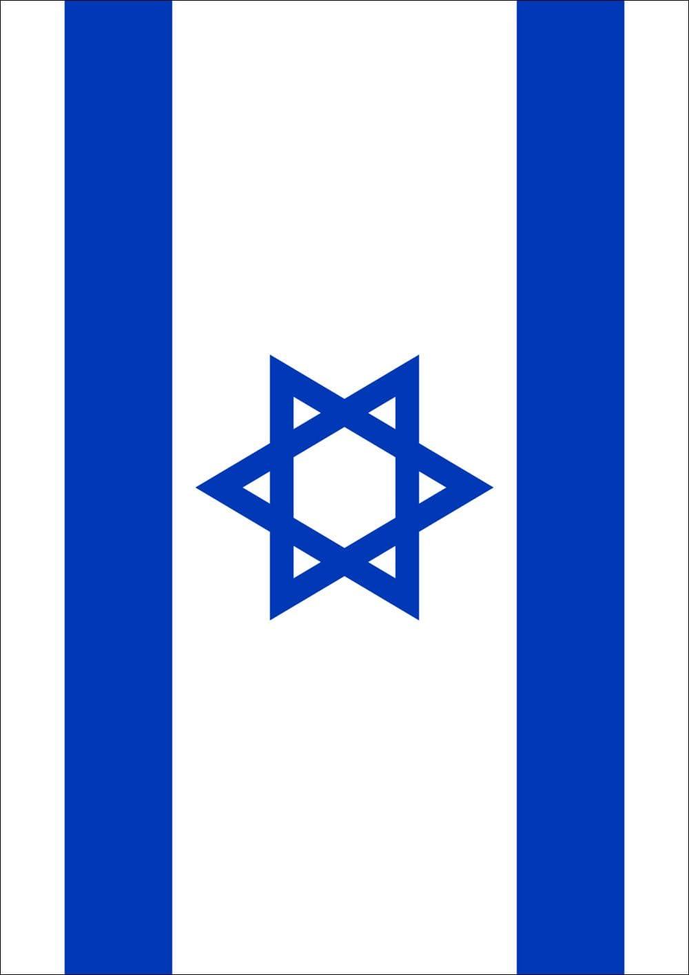 Large Blue and White Polyester Israeli House Flag