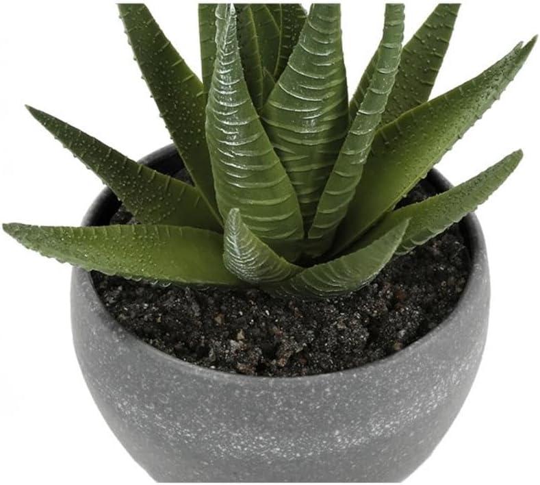 Benjara Artificial Succulents Silk Plant Indoor Set of 3, Green, Gray Cement