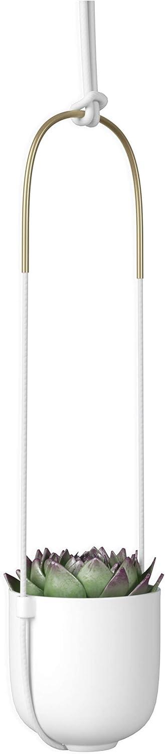Umbra Bolo Ceramic Hanging Planter