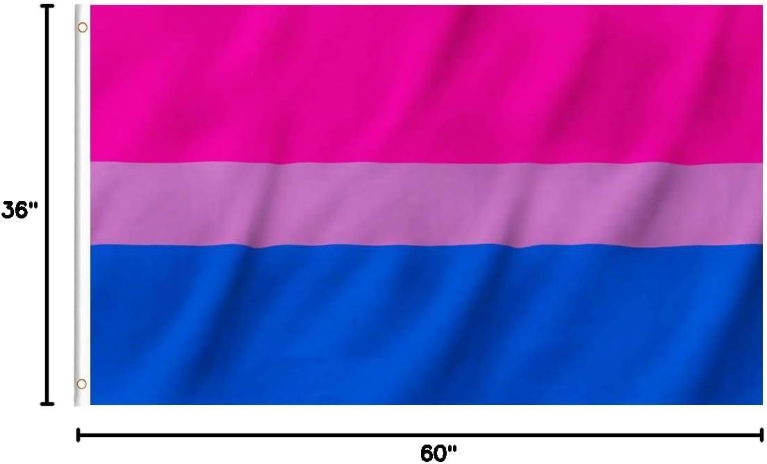 Vivid Pink and Blue Polyester Bi Pride Flag with Brass Grommets