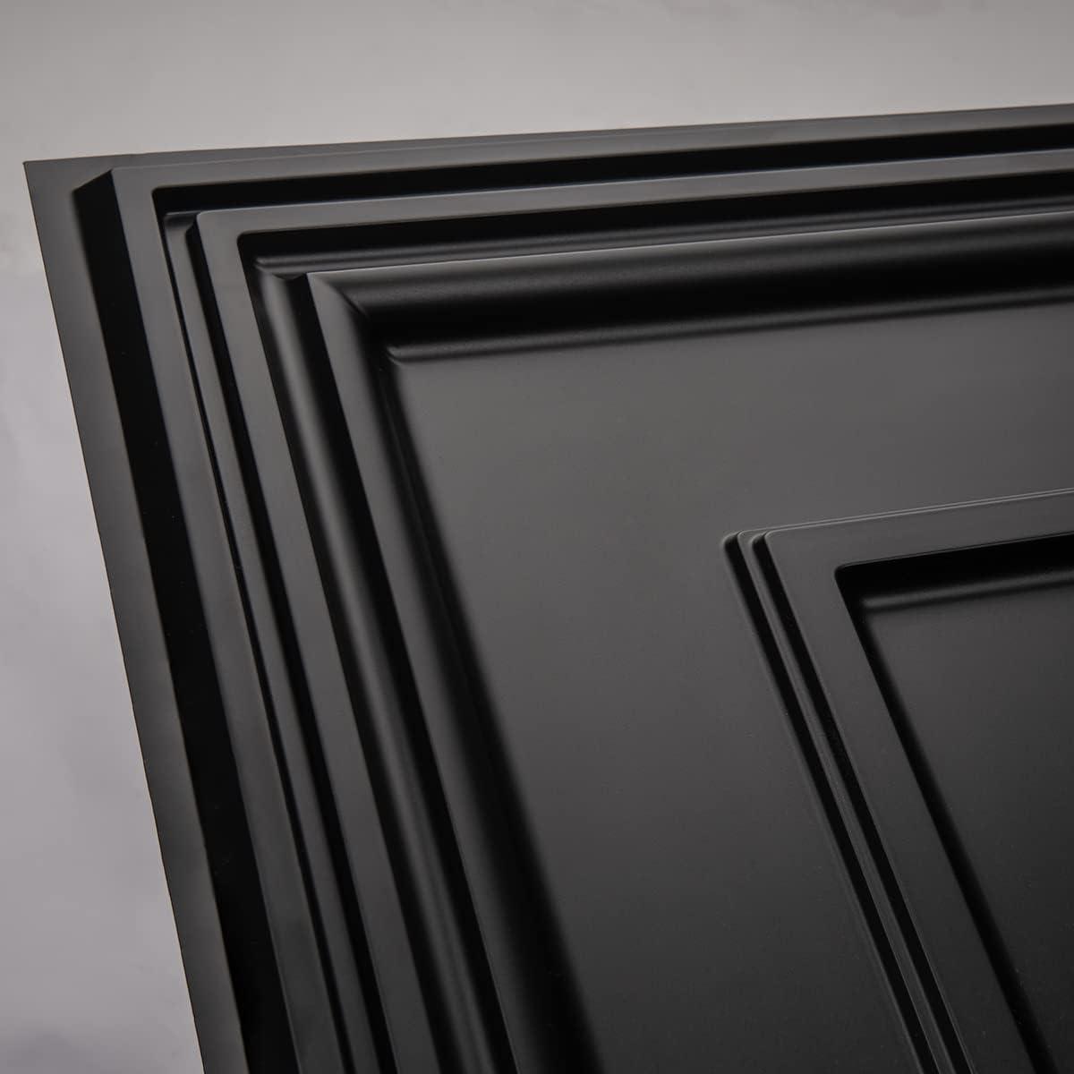 Black PVC 24x48in Decorative Drop Ceiling Tiles (12-Pack)