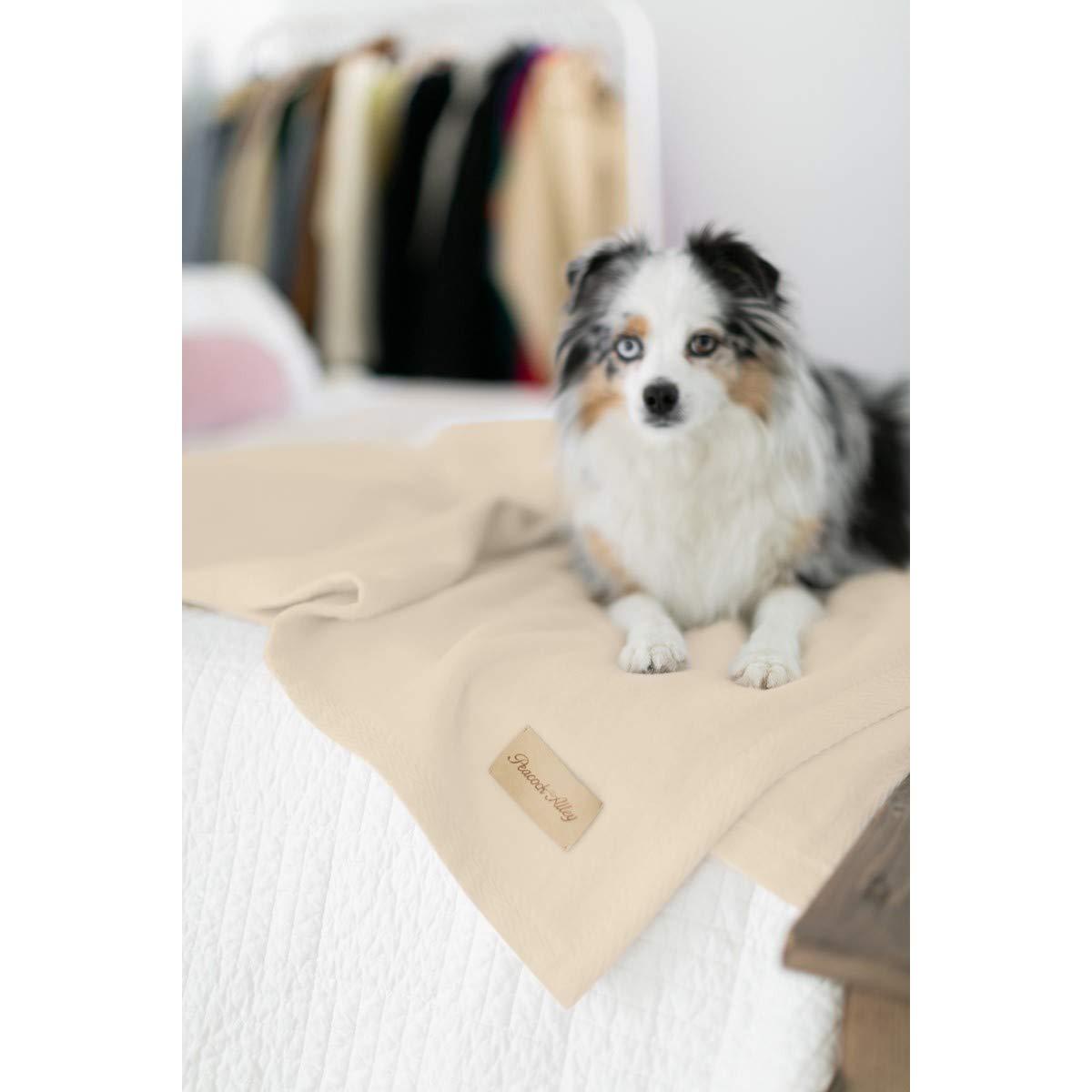 Peacock Alley Signature All Seasons 100% Cotton Blanket