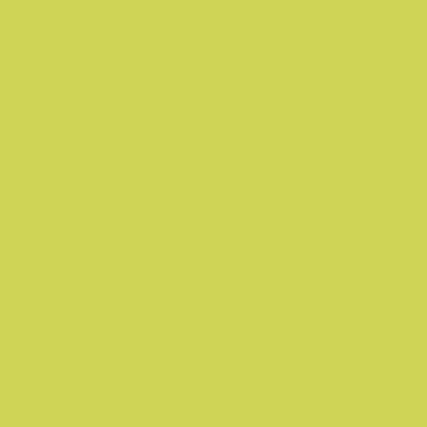 20-inch by 12-inch Double-corded Solid Twill Back Support Pillows with Inserts (Set of 2), Mojito Lime
