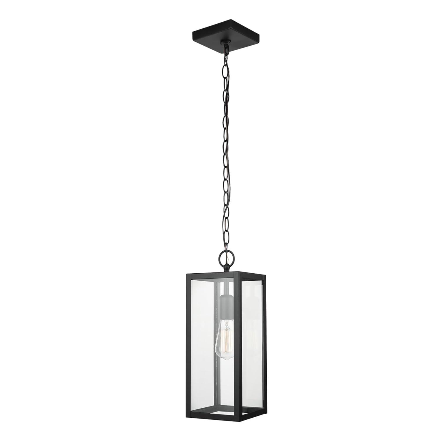 1-Light Matte Black Outdoor Pendant Lighting with Clear Glass Shade