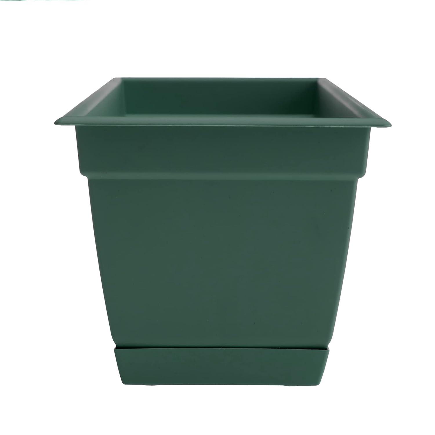 Bloem Dayton 6.87 in. H X 24 in. W Plastic Ocean Series Window Box Turtle Green