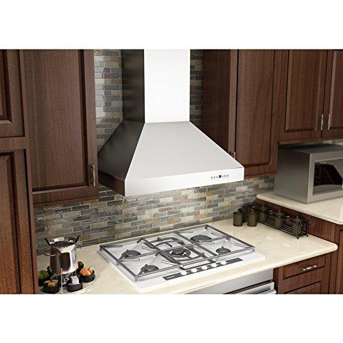 ZLINE ZLINE 48 in. Professional Ducted Wall Mount Range Hood in Stainless Steel (667-48)