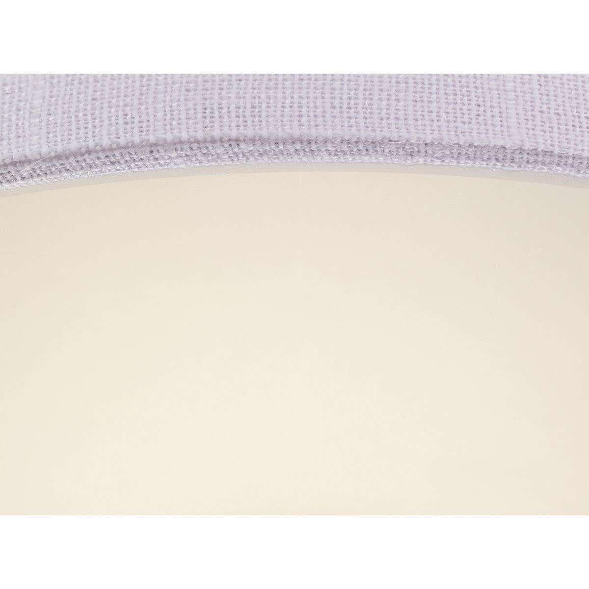 Progress Lighting Inspire Collection 2-Light Semi-Flush Fixture, Graphite Finish, Summer Linen Shade
