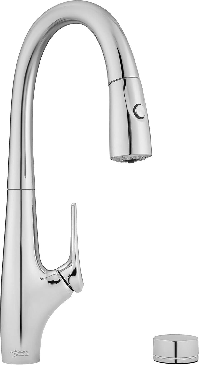 Saybrook Chrome Pull-Down Kitchen Faucet with Filter