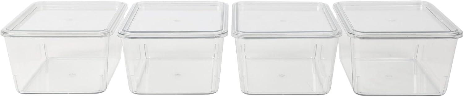 Martha Stewart Brody Premium Plastic Storage Bins With Lids