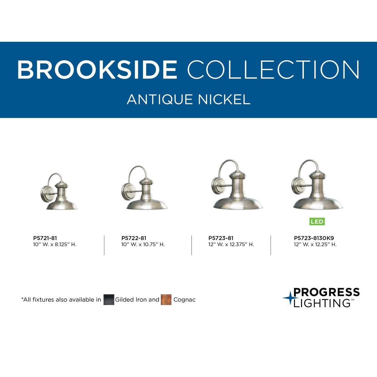 Progress Lighting Brookside 1-Light Antique Nickel Steel Outdoor Wall Lantern