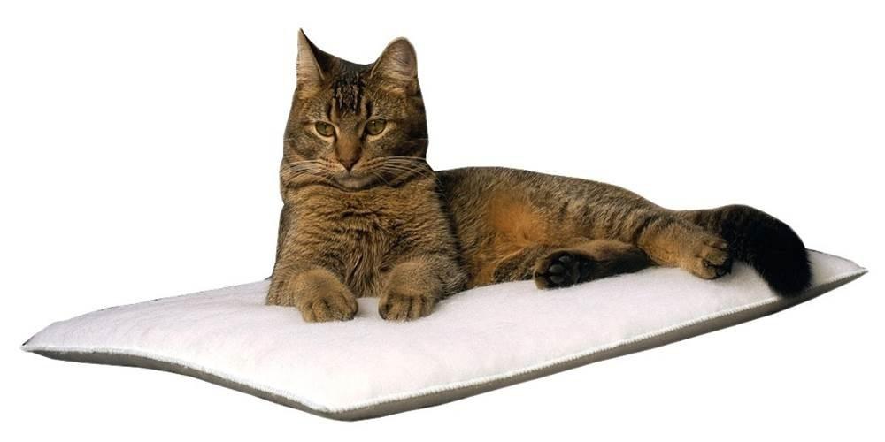 KT Manufacturing Pet Bed (Set of 2)