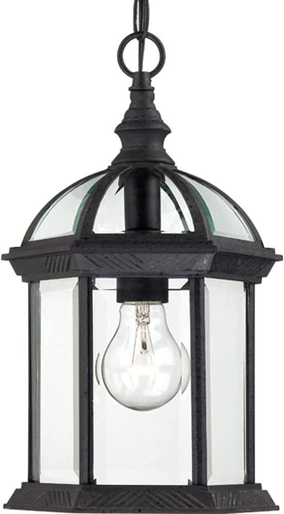 Boxwood Black 14" Outdoor Hanging Lantern with Clear Glass