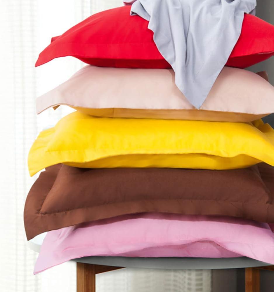 BEFIHO Standard Pillow Shams - 2 Pack Brushed Microfiber 20X26 Sham Covers - Super Soft And Cozy, Wrinkle, Fade, Stain Resistant Oxford Pillowcases (Set of 2)
