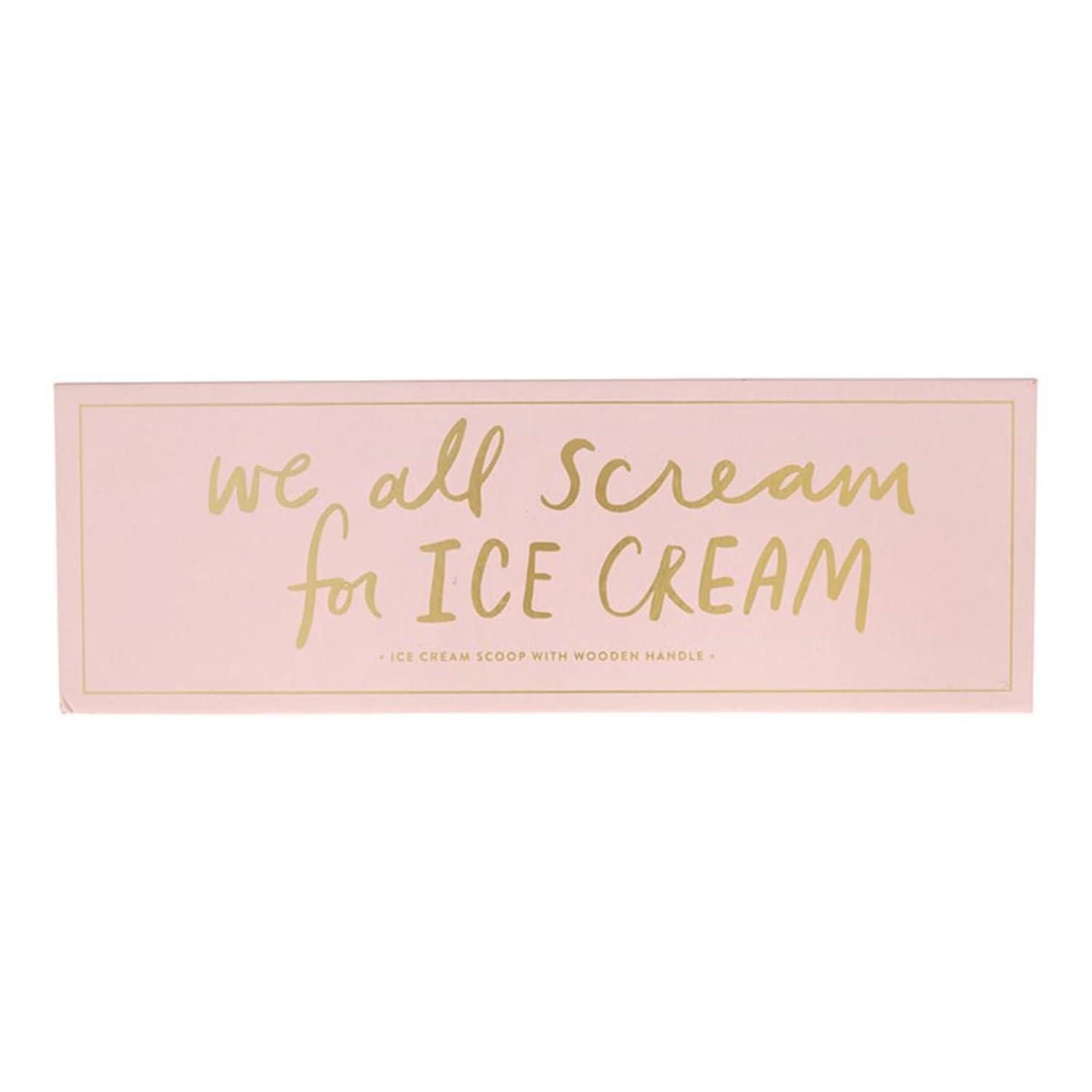 Santa Barbara Design Studio Stainless Steel Ice Cream Scoop Cardboard Book Gift Box, 1-Piece, We All Scream
