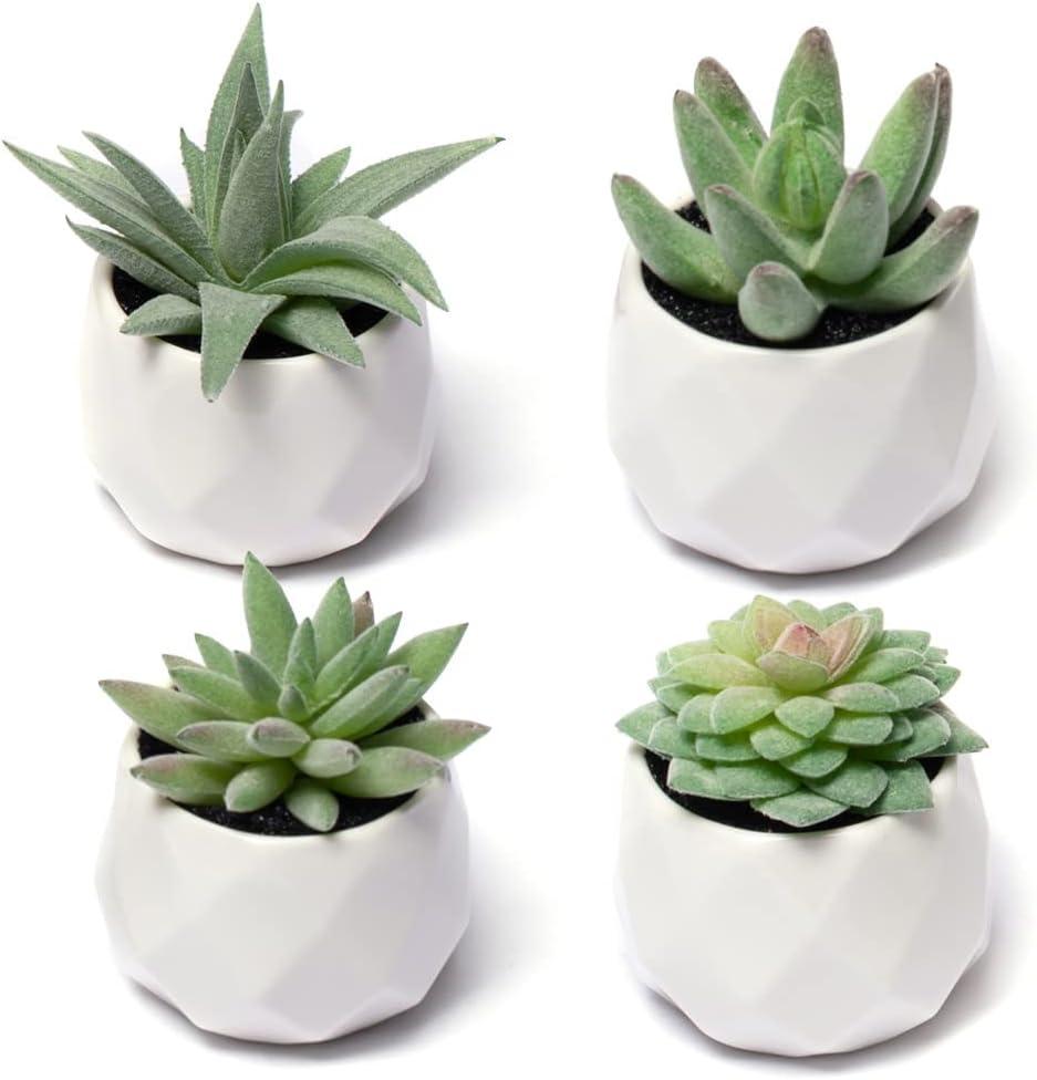 Mini Green Artificial Succulent Plants in White Ceramic Pots