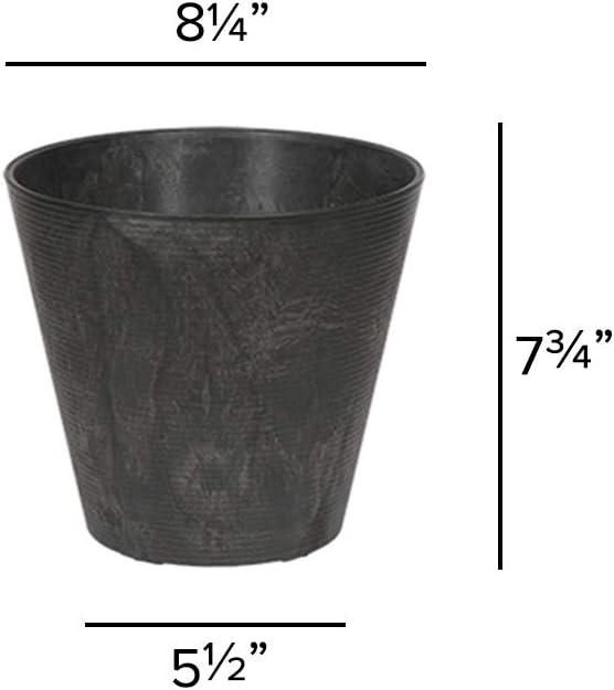 Novelty Artstone 7.7 in. H X 8.4 in. W X 8.4 in. D X 8.4 in. D Resin Cali Planter Black