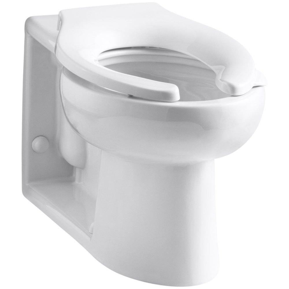 Anglesey Floor-Mounted Wall-Outlet 1.6 GPF Flushometer Valve Elongated Bowl with Rear Inlet