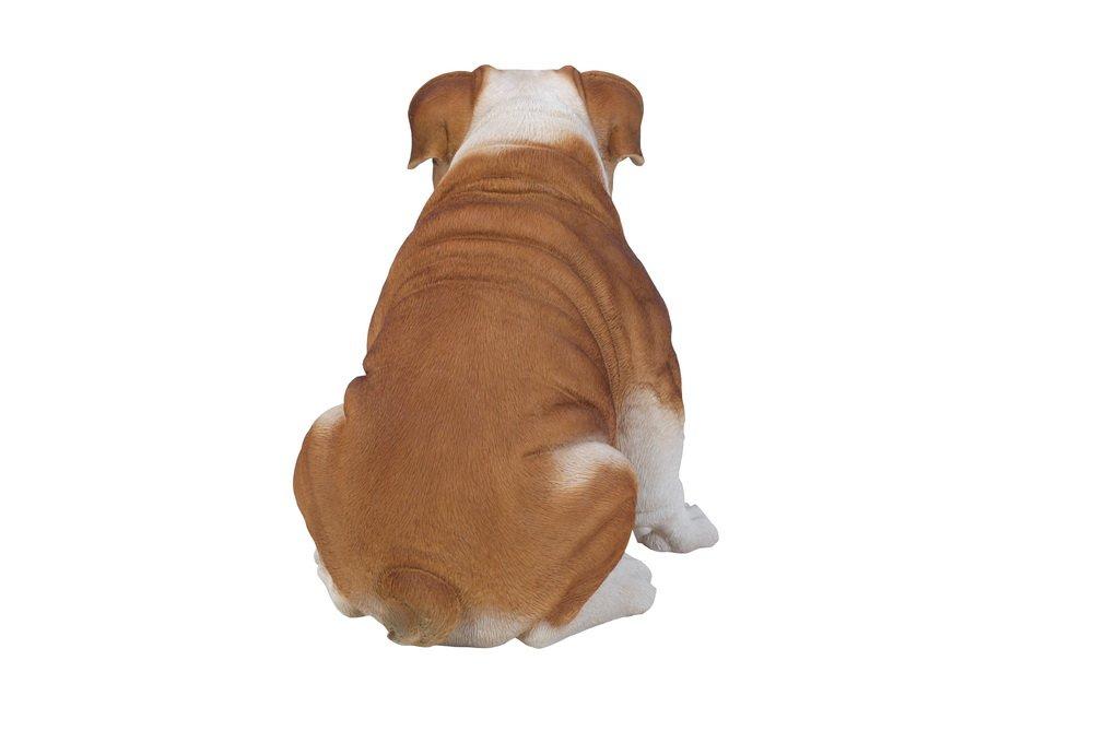 Hi-Line Gift Ltd. Dog Bulldog Statue