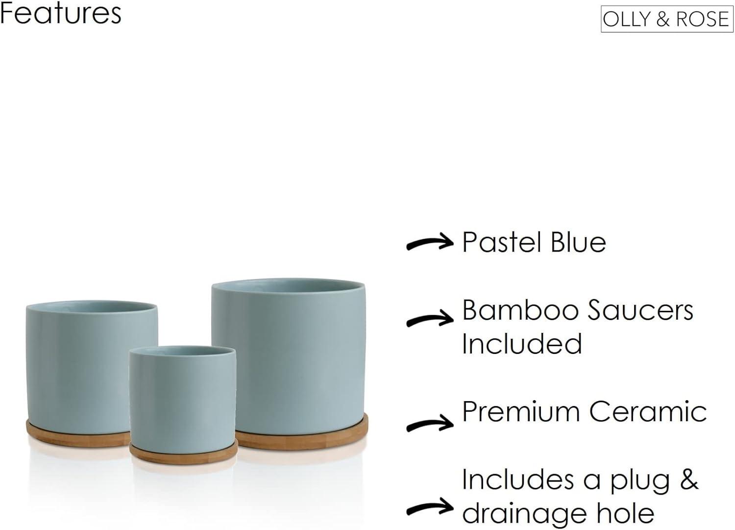 City & Rose Round Pastel Blue Ceramic Plant Pot Set with Bamboo Coasters indoor Planters 3 Count