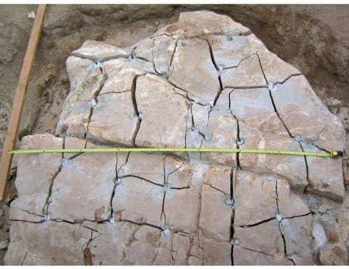 Dexpan Expansive Demolition Grout 44 Lb. Bucket for Rock Breaking, Concrete Cutting, Excavating. Alternative to Demolition Jack Hammer Breaker, Jackhammer, Concrete Saw, Rock Drill (DEXPAN44BKT2)