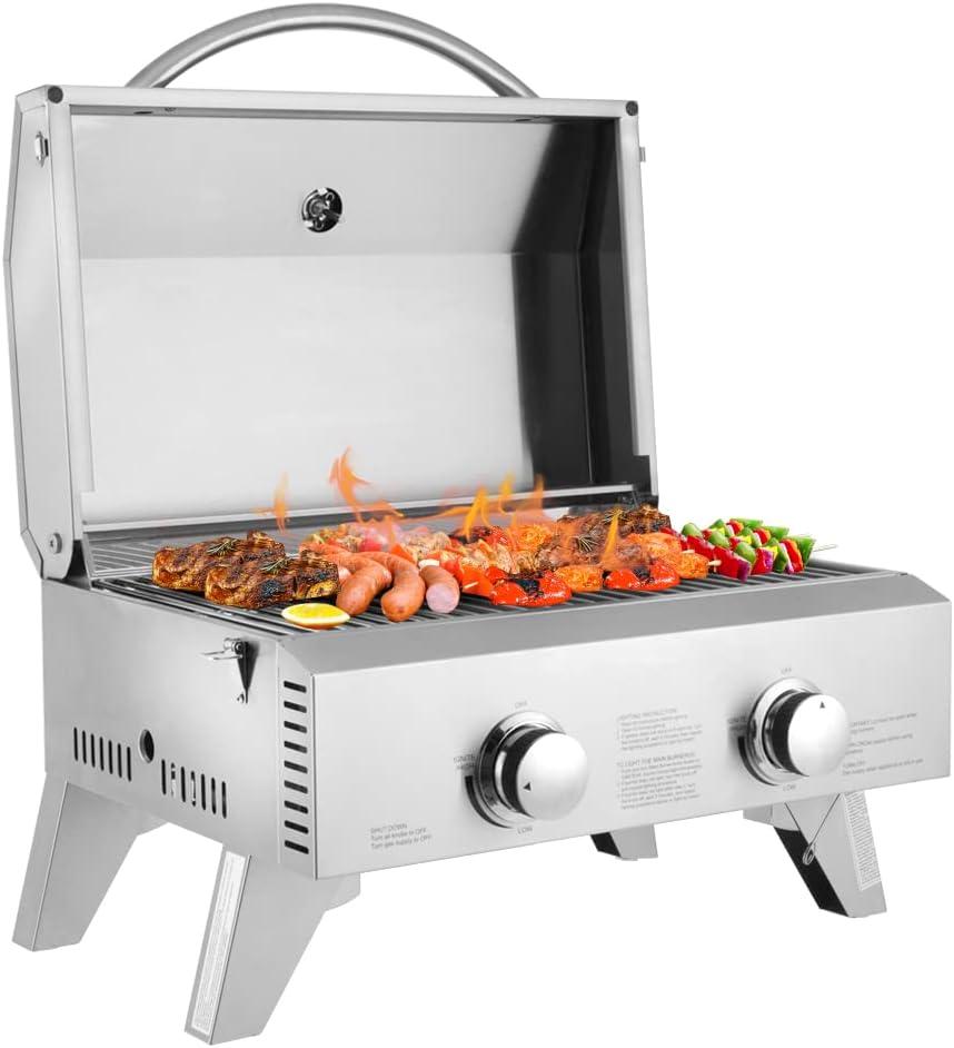 Stainless Steel 2-Burner Portable Propane Gas Grill