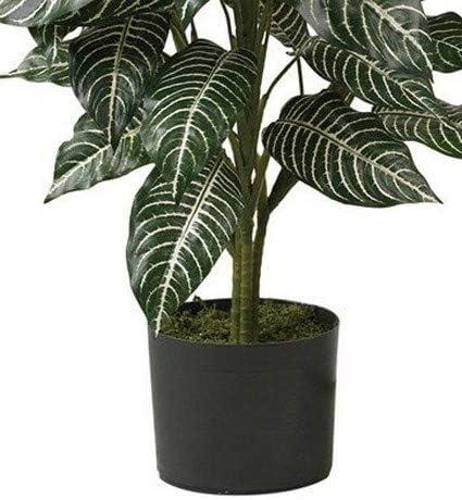 36" x 20" Artificial Zebra Silk Plant in Wicker Pot - Nearly Natural: Indoor Floor Plant Decoration