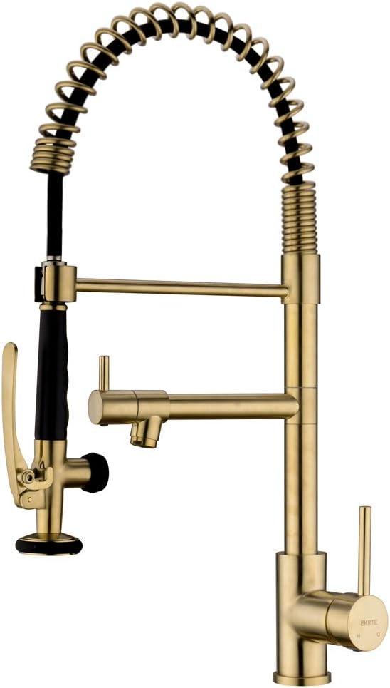 LOONGFIELD ASTARQ-W1932P172291 Kitchen Faucet Pull Down Sprayer Brushed Nickel,Single Handle Kitchen Sink Faucet