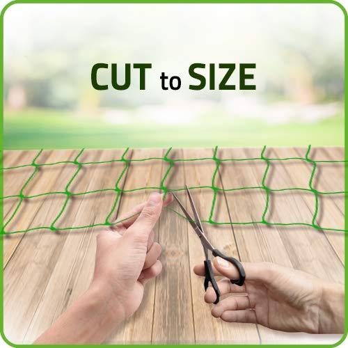 Original Stationery Trellis Netting for Climbing Garden Plants, Easy to Install Plant Net and Vegetable Netting to Grow Garden Flowers