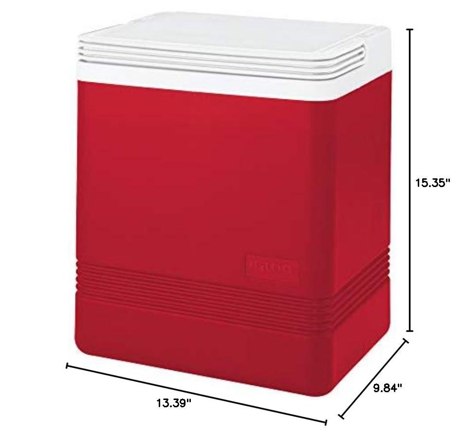 Igloo 24 Can Legend Cooler & Reviews | Wayfair