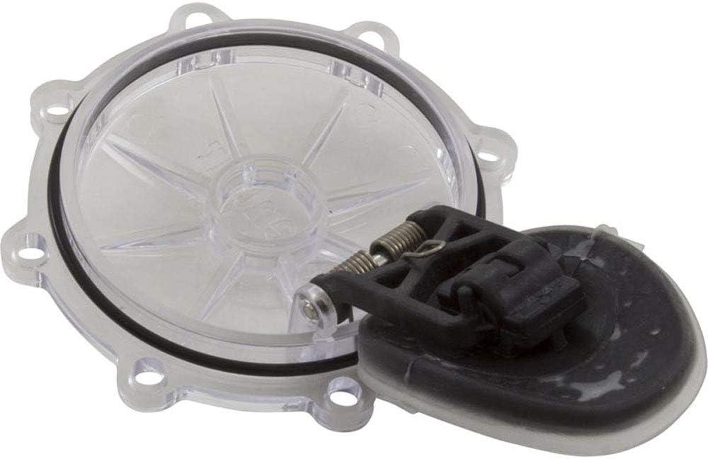 Pentair Clear CPVC 2-Inch 2-Way Pool Spa Check Valve Kit