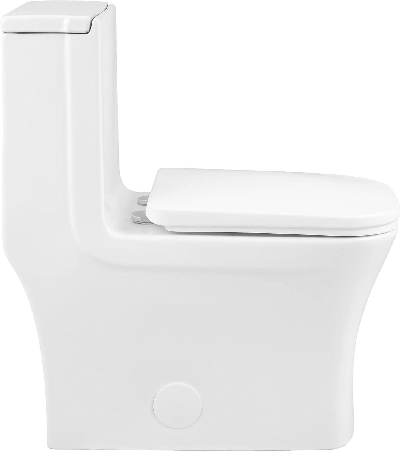 Concorde One-Piece Square Toilet Dual-Flush 1.1/1.6 gpf