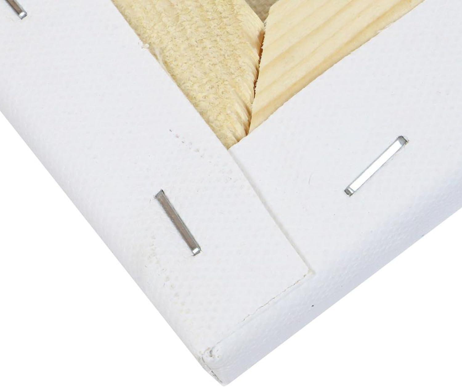 Art Advantage Artist Canvas Visual Edge 8x24, Stretched Canvas for Painting, Blank Canvas for Acrylics & Oils, Canvases for Artists, Professional Pre-Stretched Canvas