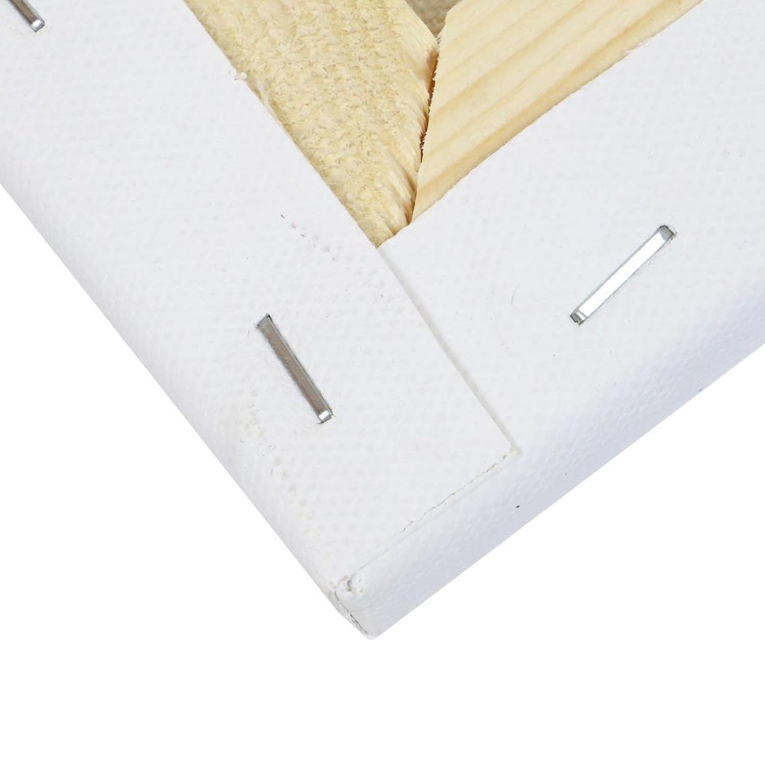 Art Advantage Artist Canvas Visual Edge 8x24, Stretched Canvas for Painting, Blank Canvas for Acrylics & Oils, Canvases for Artists, Professional Pre-Stretched Canvas