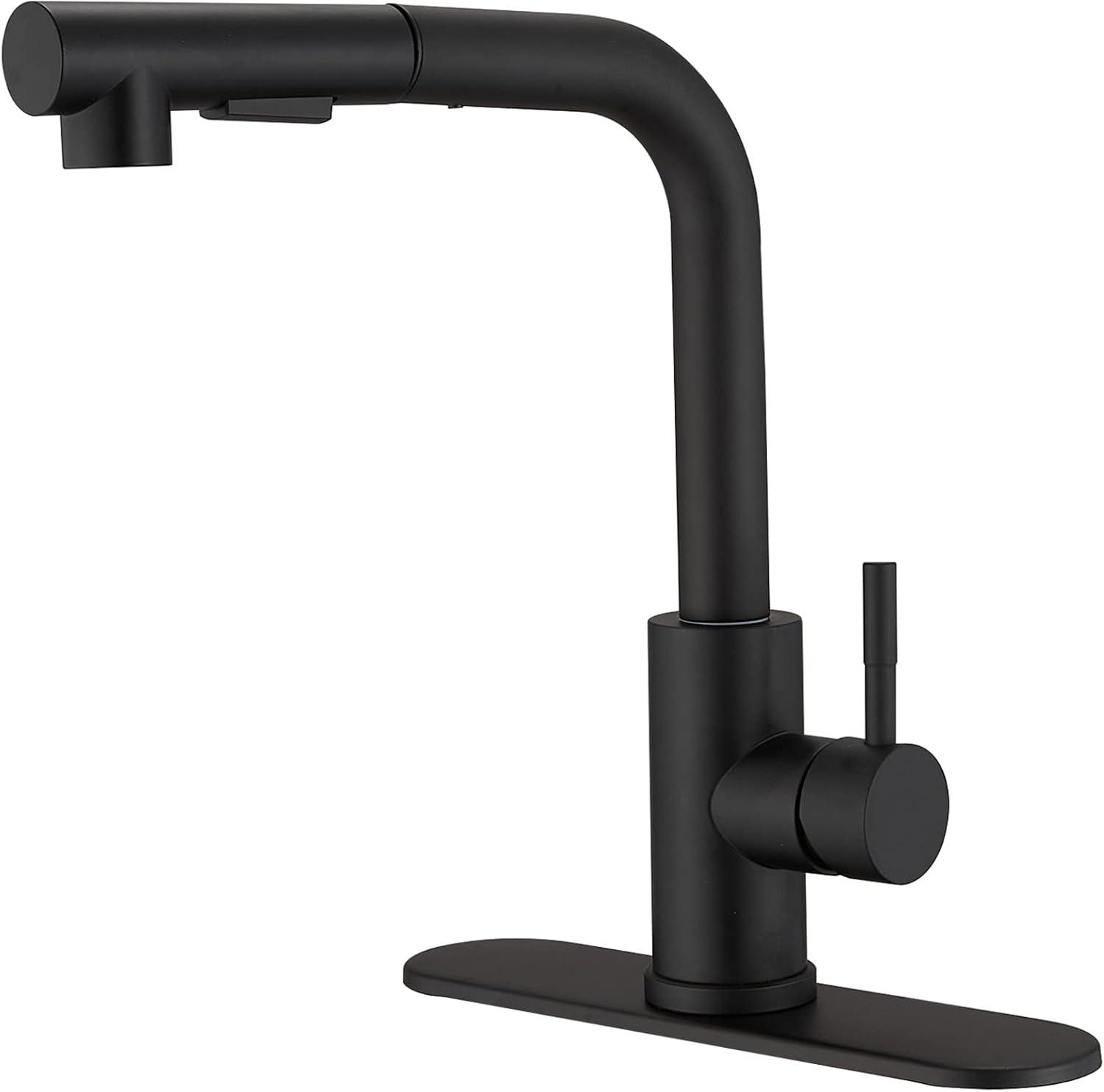 Matte Black Stainless Steel Pull-Out Spray Kitchen Faucet