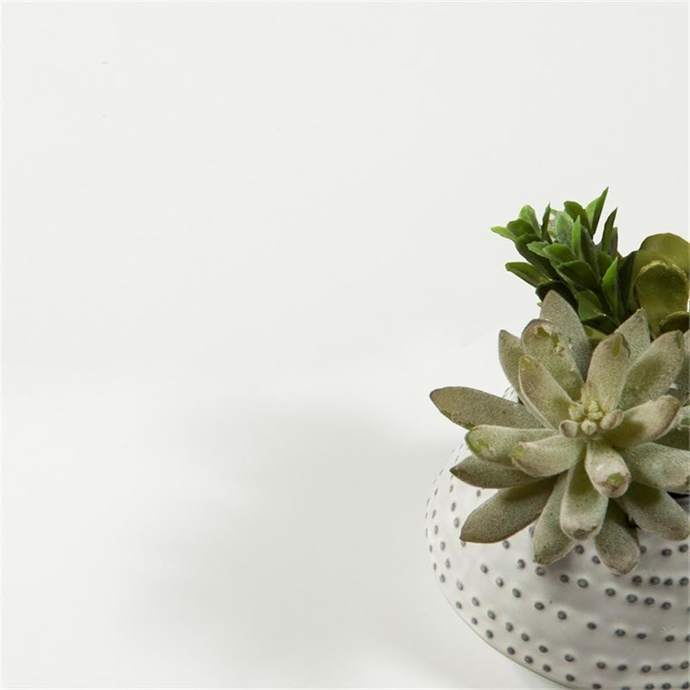 Tvilum Portland 6 Drawer Double Dresser, White